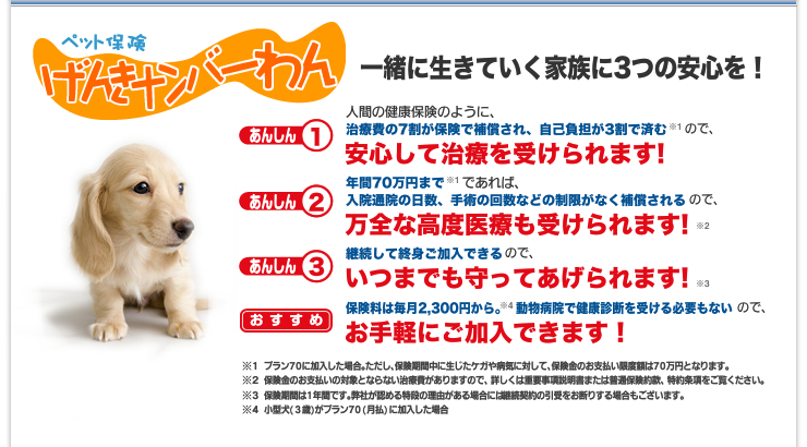 げんきナンバーわん