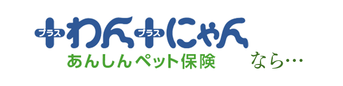 +わん+にゃんあんしんペット保険なら…