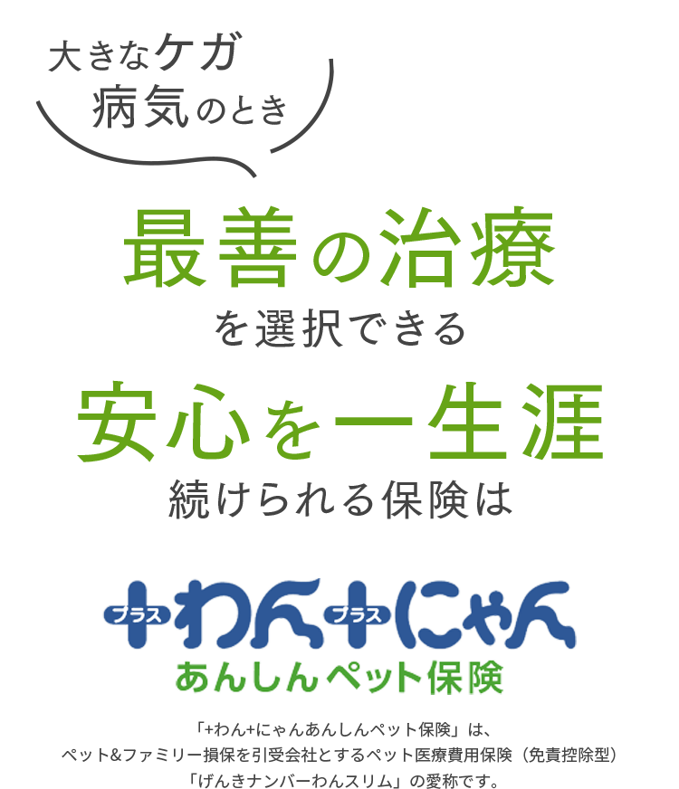 大きなケガ・病気のとき、最善の治療を選択できる、安心を一生涯続けられる保険はげんきナンバーわんスリム