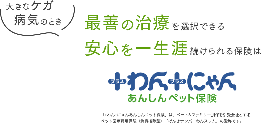大きなケガ・病気のとき、最善の治療を選択できる、安心を一生涯続けられる保険はげんきナンバーわんスリム