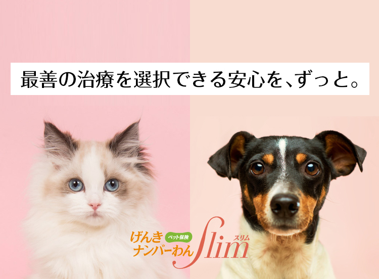 最善の治療を選択できる安心を、ずっと。