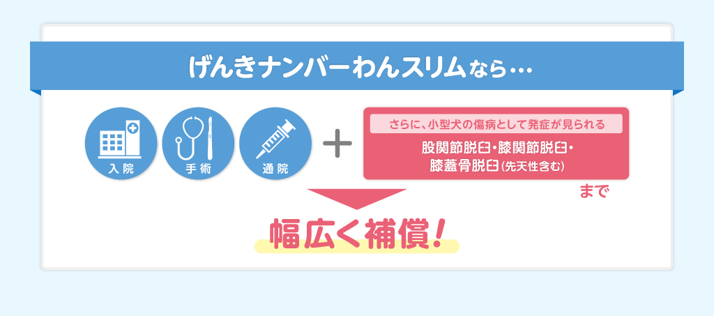 げんきナンバーわんスリムなら幅広く補償！