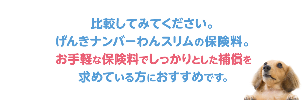 比較してみてください。げんきナンバーわんスリムの保険料。お手軽な保険料でしっかりとした補償を求めている方におすすめです。