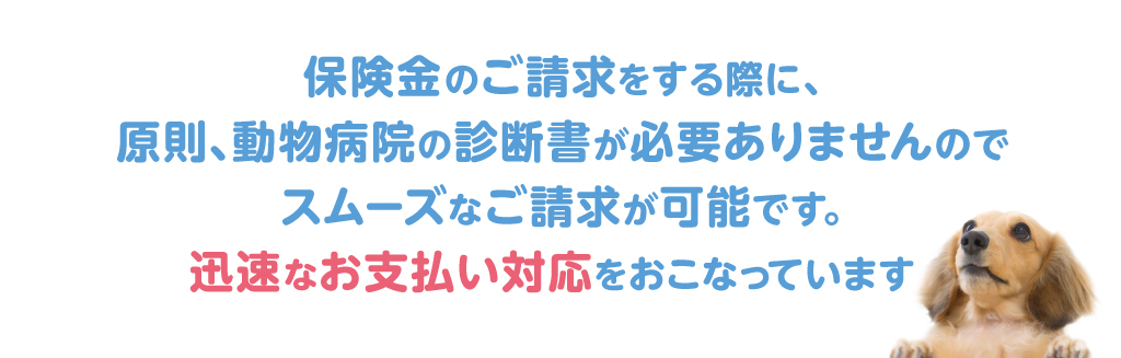 保険金のご請求方法で、少しご面倒をおかけいたしますが、その分、スリムな保険料と充実した補償を実現しています。