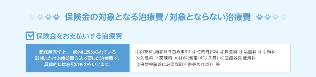 保険金の対象となる治療費/対象とならない治療費