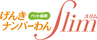 げんきナンバーわんスリム