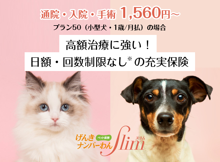 高額治療に強い！日額・回数制限なしの充実保険