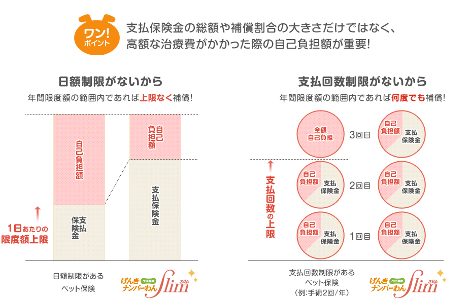 ワン！ポイント　支払保険金の総額や補償割合の大きさだけではなく、高額な治療費がかかった際の自己負担額が重要！