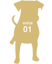 voice01