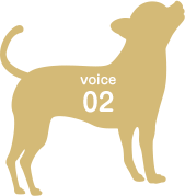 voice02