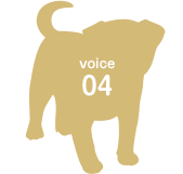 voice04