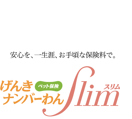 安心を、一生涯、お手頃な保険料で。げんきナンバーわんスリム