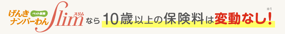 ペット保険げんきナンバーわんスリムなら10歳以上の保険料は変動なし！※1