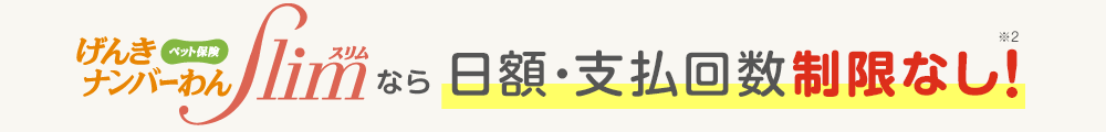 ペット保険げんきナンバーわんスリムなら日額・支払回数制限なし！※2