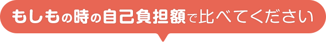 もしもの時の自己負担額で比べてください