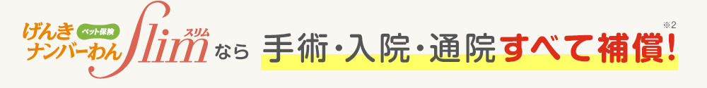 ペット保険げんきナンバーわんスリムなら手術・入院・通院すべて補償！※2