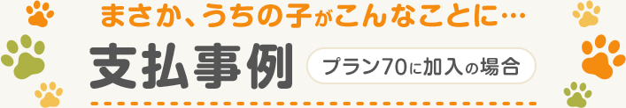 まさか、うちの子がこんなことに…　支払事例