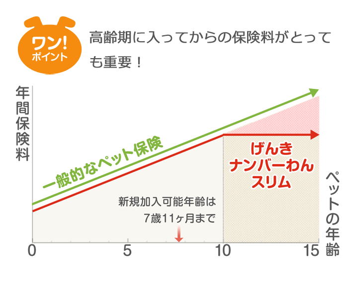 ワン！ポイント　高齢期に入ってからの保険料がとっても重要！