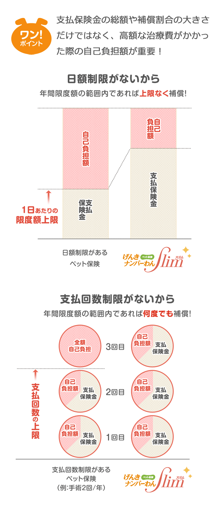 ワン！ポイント　支払保険金の総額や補償割合の大きさだけではなく、高額な治療費がかかった際の自己負担額が重要！