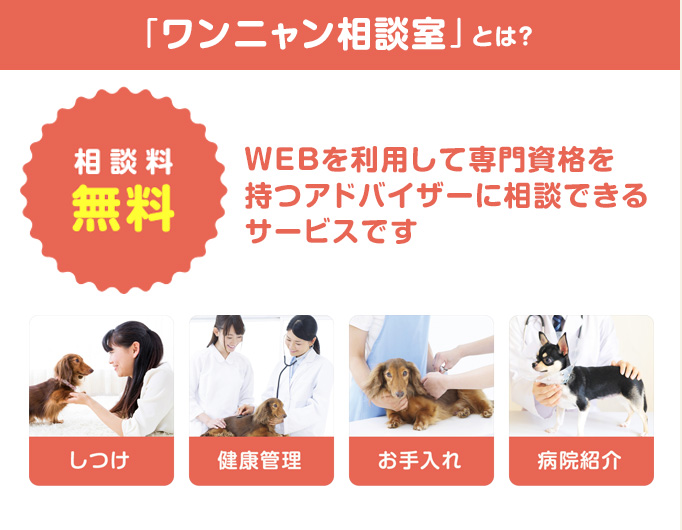 「ワンニャン相談室」とは？WEBを利用して専門資格を持つアドバイザーに相談できるサービスです