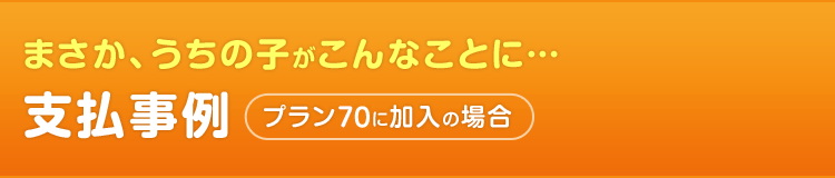 まさか、うちの子がこんなことに…　支払事例