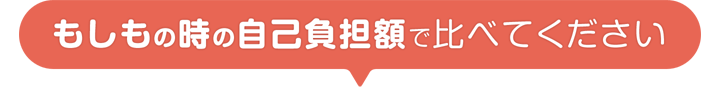 もしもの時の自己負担額で比べてください