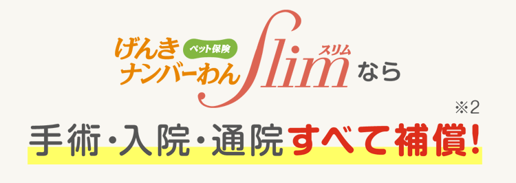ペット保険げんきナンバーわんスリムなら手術・入院・通院すべて補償！※2