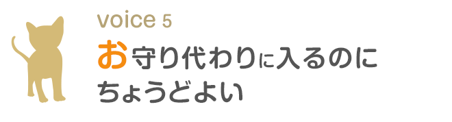 お守り代わりに入るのにちょうどよい