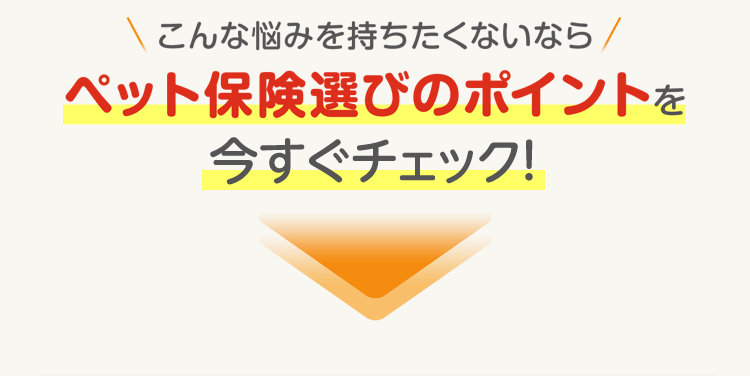 ＼こんな悩みを持ちたくないなら／　ペット保険選びのポイントを押さえましょう！