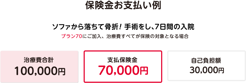 保険金お支払い例