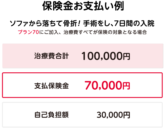 保険金お支払い例