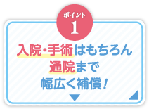 ポイント1_入院・手術はもちろん通院まで幅広く補償！