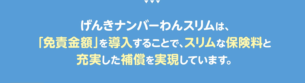 げんきナンバーわんスリムは、「免責金額」を導入することで、スリムな保険料と充実した補償を実現しています。