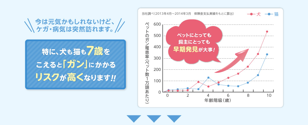 今は元気かもしれないけど、ケガ・病気は突然訪れます。