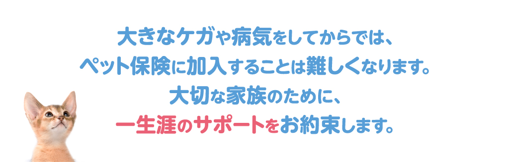 大きなケガや病気をしてからでは、ペット保険に加入することは難しくなります。大切な家族のために、一生涯のサポートをお約束します。