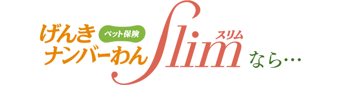 げんきナンバーわんスリムなら…