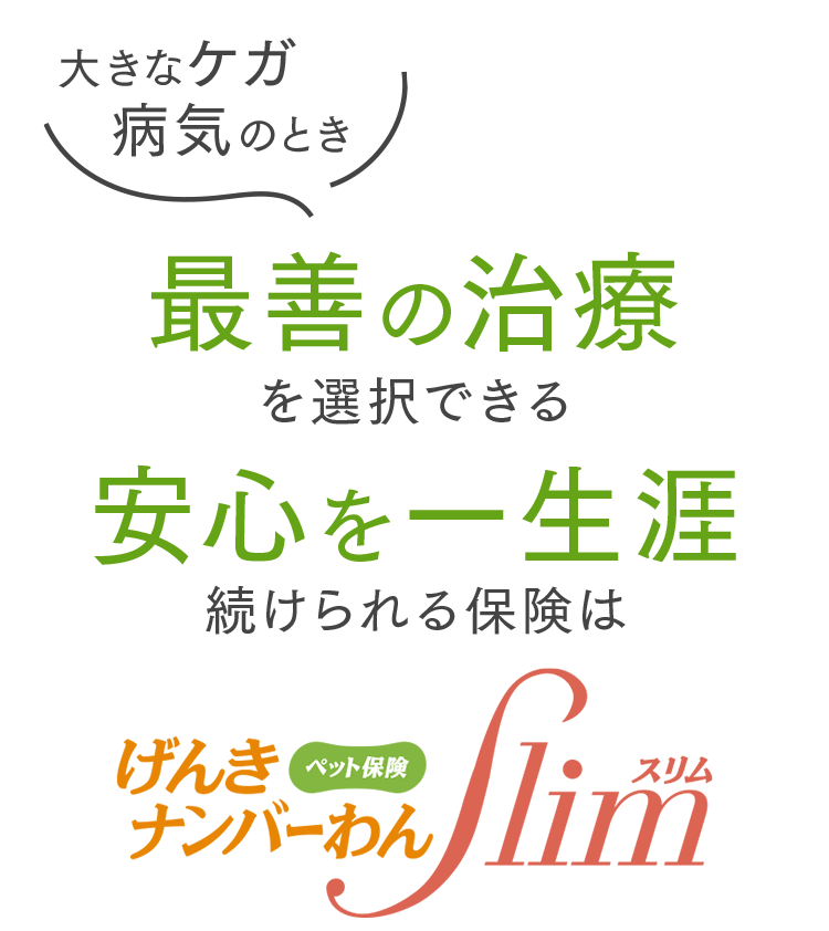 大きなケガ・病気のとき、最善の治療を選択できる、安心を一生涯続けられる保険はげんきナンバーわんスリム