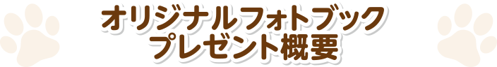 フォトブックプレゼントキャンペーン概要