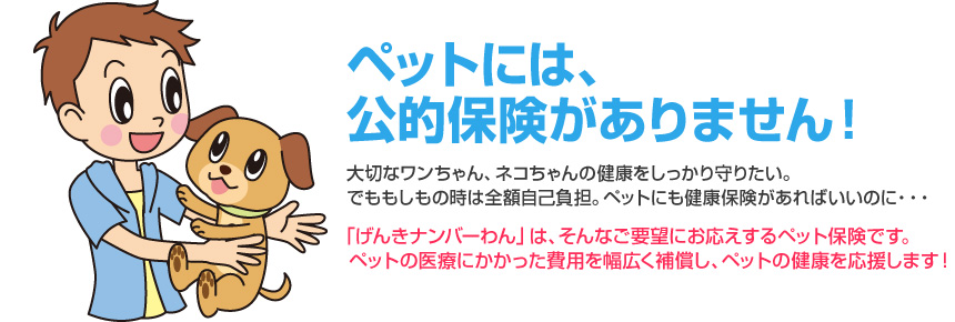 ペットには、公的保険がありません！