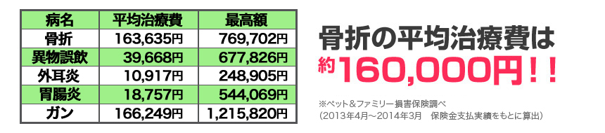 骨折の平均治療費は約100,000円！！