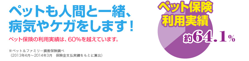 ペットも人間と一緒、病気やケガをします！