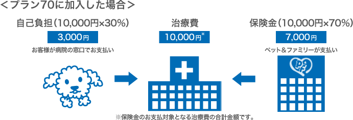 プラン70の場合 ※保険金の支払対象となる治療費用の合計金額です。