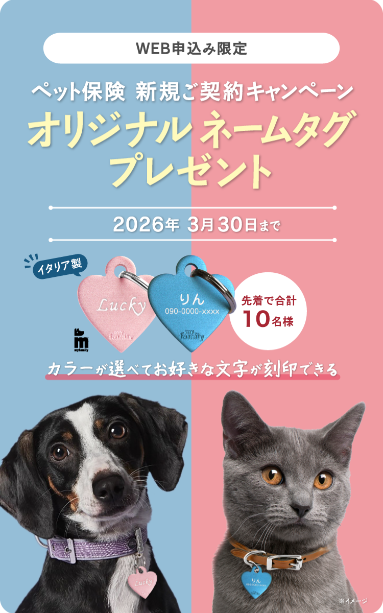 インターネット申込限定 新規ご契約プレゼントキャンペーン