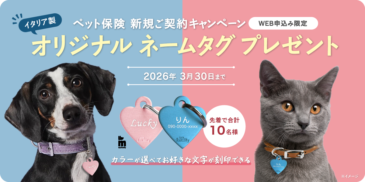 インターネット申込限定 新規ご契約プレゼントキャンペーン