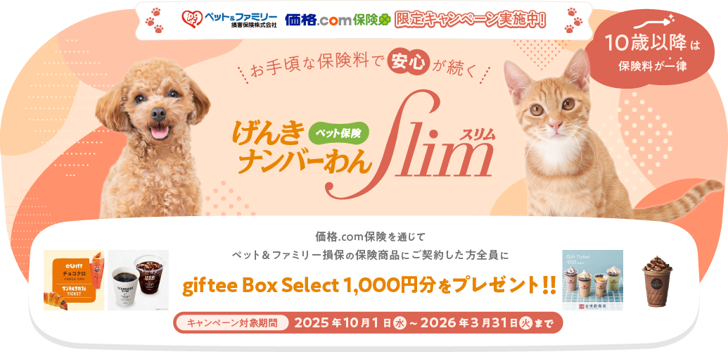 価格.com保険 限定キャンペーン実施中！