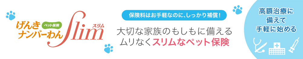 保険料はお手軽なのに、しっかり補償! 大切な家族のもしもに備える ムリなくスリムなペット保険 高額治療に 備えて 手軽に始める