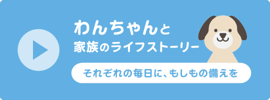 わんちゃんと家族のライフストーリー