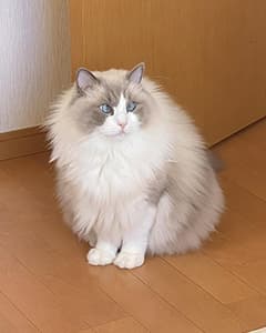 けろっぴちゃん