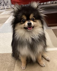 ルークちゃん