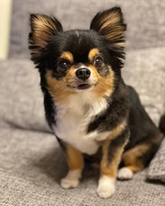 たるとちゃん
